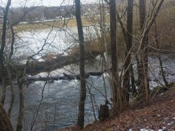 whatsapp image 2026-02-01 at 20.09.04 5